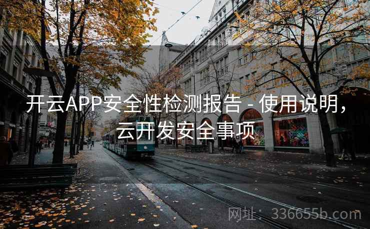 开云APP安全性检测报告 - 使用说明，云开发安全事项