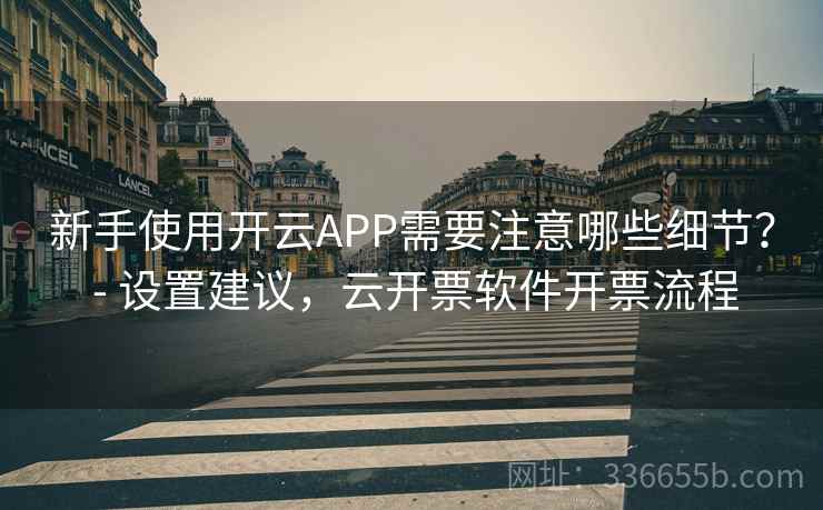 新手使用开云APP需要注意哪些细节？ - 设置建议，云开票软件开票流程